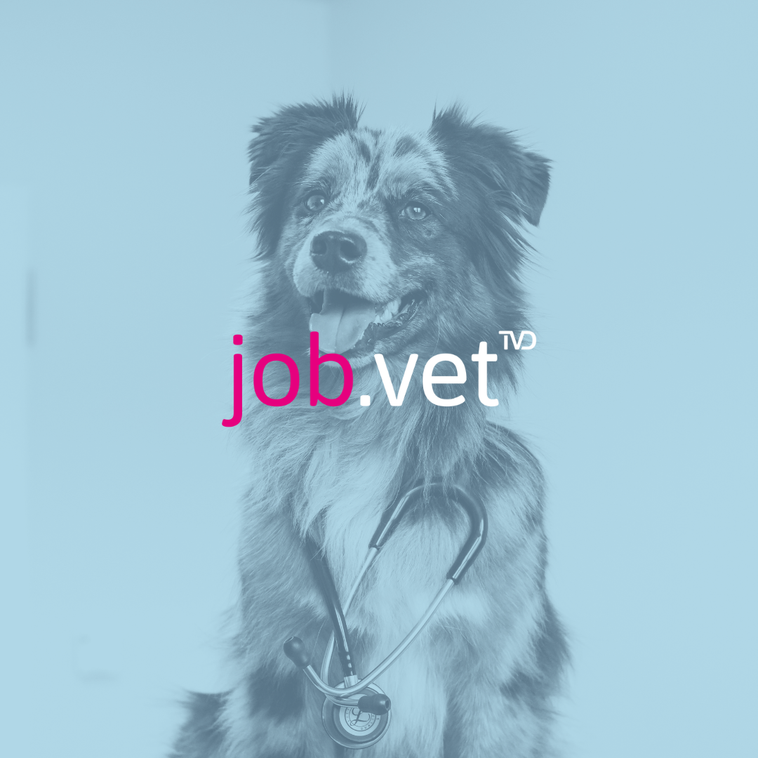 Hund mit blauem Filter, Logo von job.vet im Vordergrund