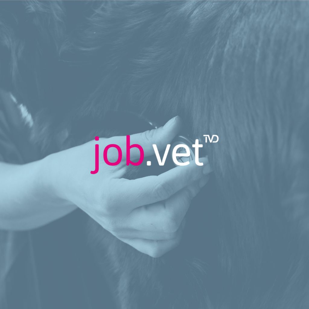 Hund wird mit Stethoskop abgehört mit Blaufilter, Logo von job.vet im Vordergrund