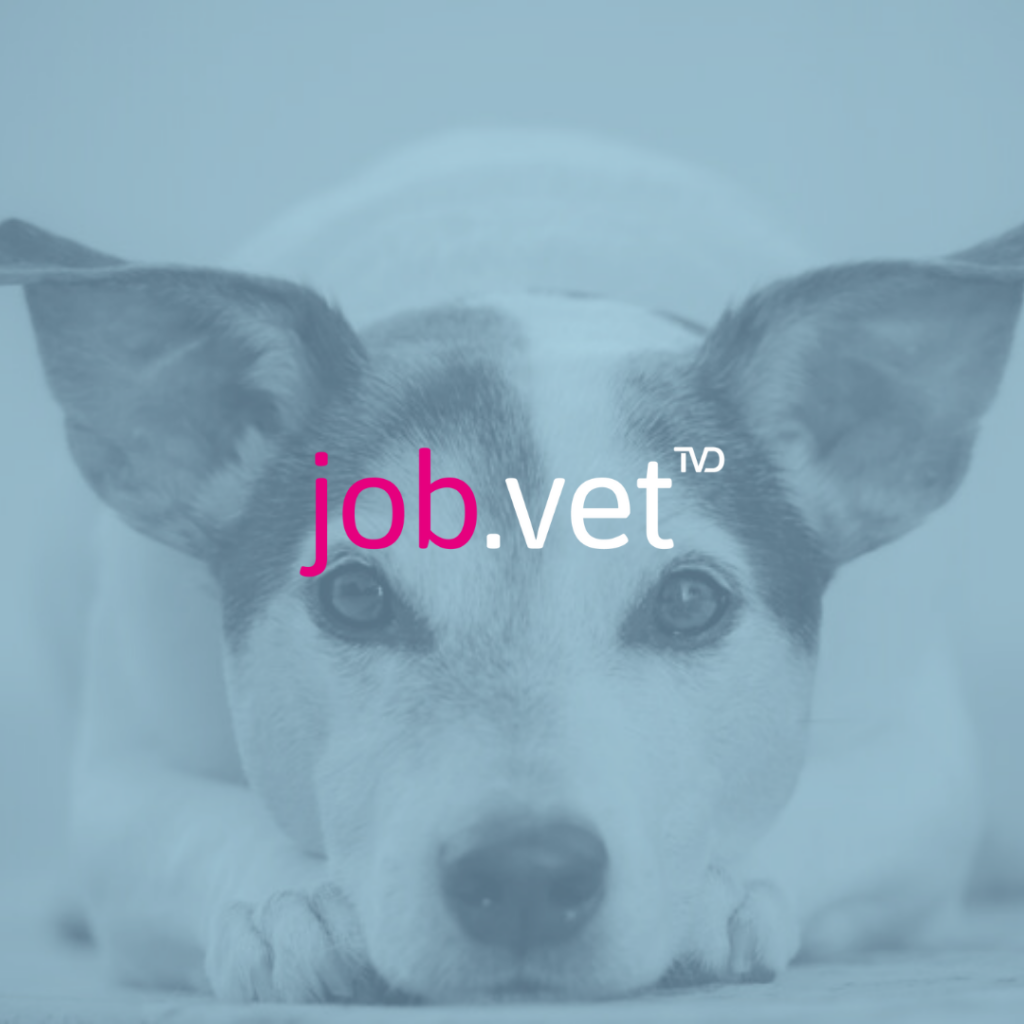 Hund mit Blaufilter, Logo von job.vet im Vordergrund