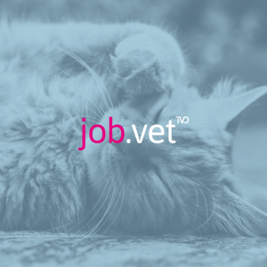 Katze mit Blaufilter, Logo von job.vet im Vordergrund