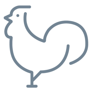 Icon Geflügel