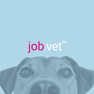 Hund mit Blaufilter, Logo von job.vet im Vordergrund