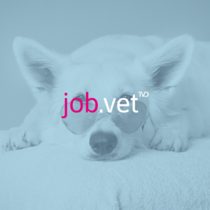 Hund mit Blaufilter, Logo von job.vet im Vordergrund