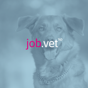 Hund mit Blaufilter, Logo von job.vet im Vordergrund
