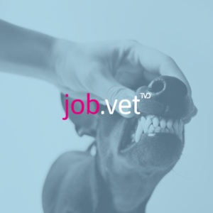 Hundezähne mit Blaufilter, Logo von job.vet im Vordergrund
