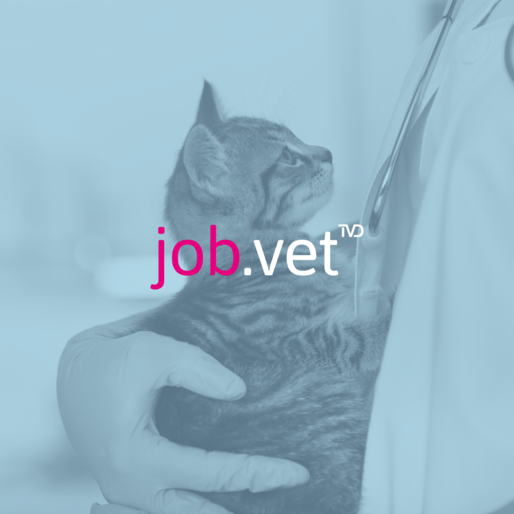 Katze auf Arm mit Blaufilter, Logo von job.vet im Vordergrund