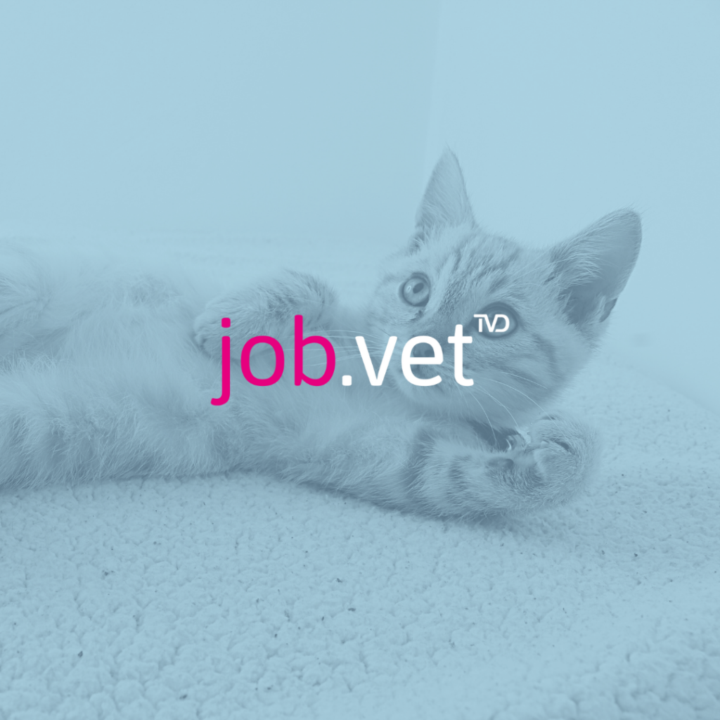 Katze mit Blaufilter, Logo von job.vet im Vordergrund