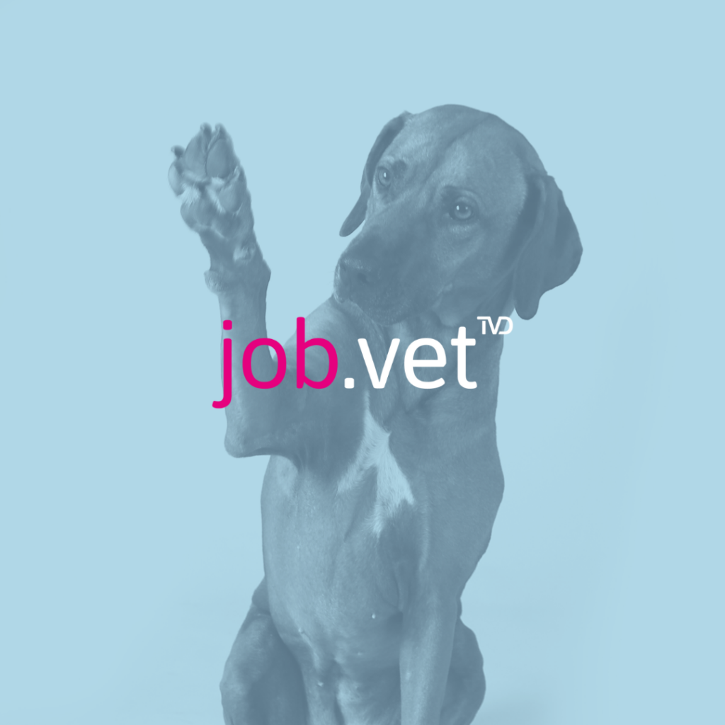 Hund mit Blaufilter, Logo von job.vet im Vordergrund