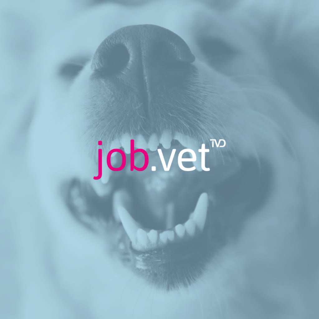 Hund mit Blaufilter, Logo von job.vet im Vordergrund