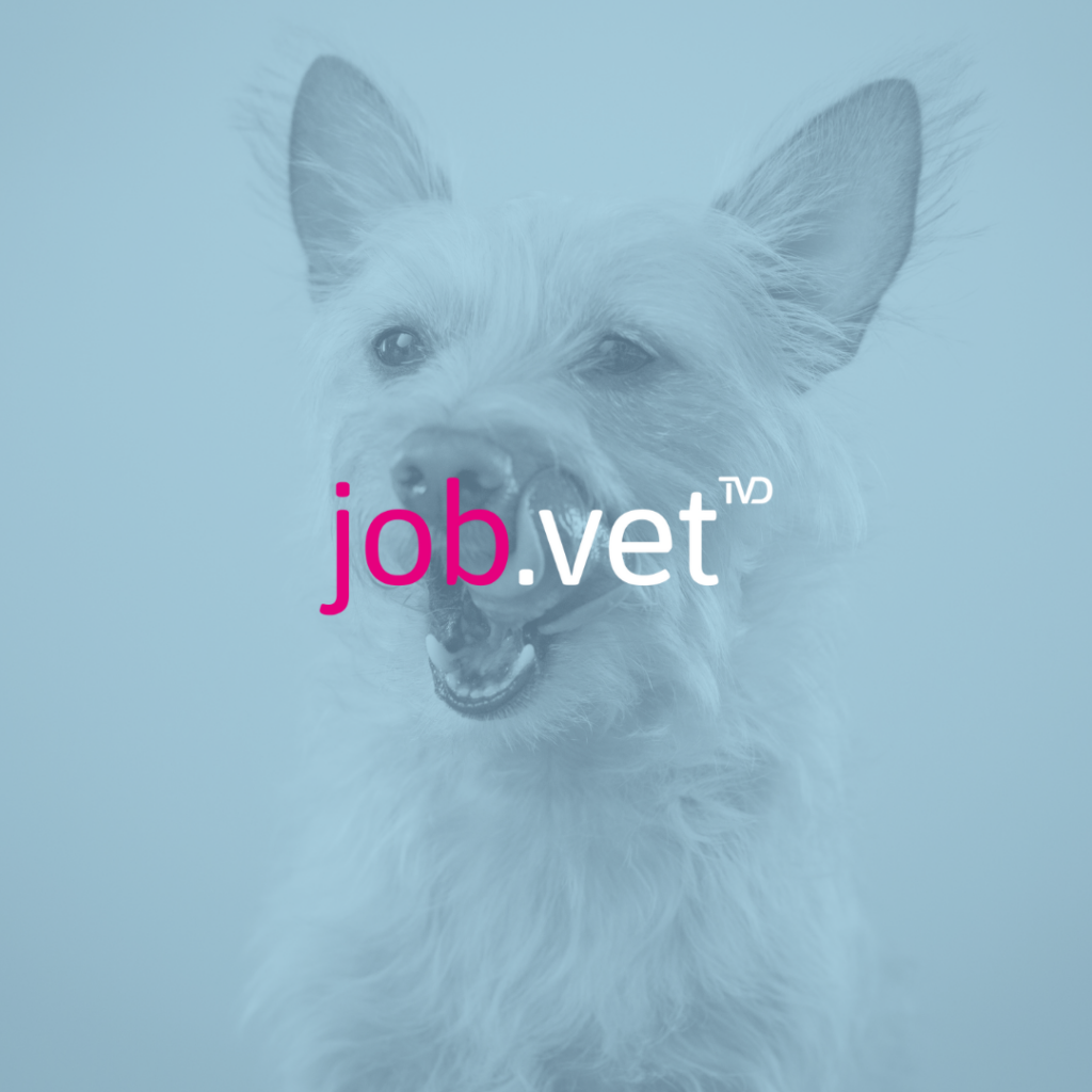 Hund mit Blaufilter, Logo von job.vet im Vordergrund