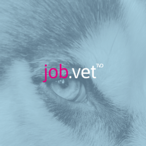 Hundeauge mit Blaufilter, Logo von job.vet im Vordergrund