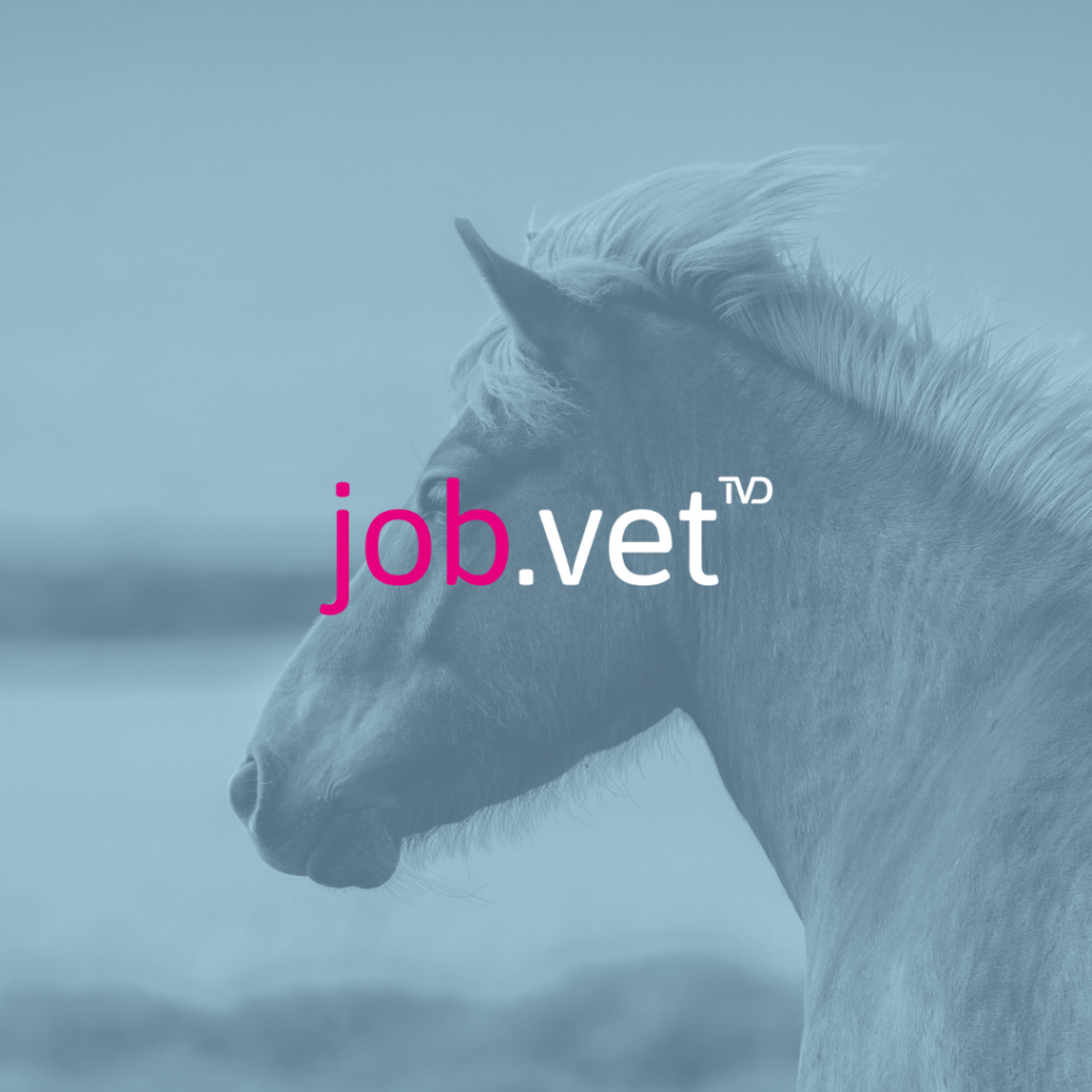 Pferd mit Blaufilter, Logo von job.vet im Vordergrund