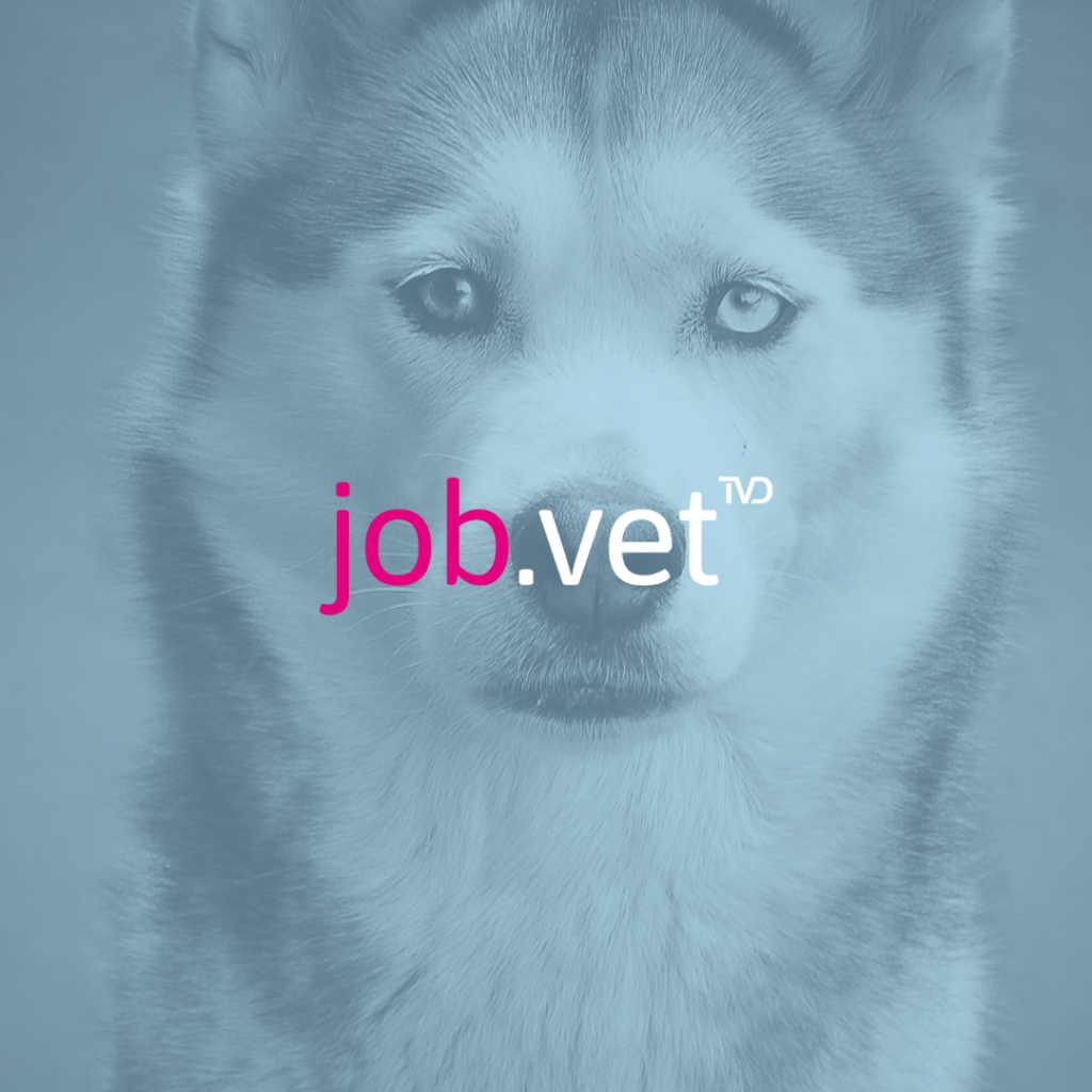 Hund mit Blaufilter, Logo von job.vet im Vordergrund