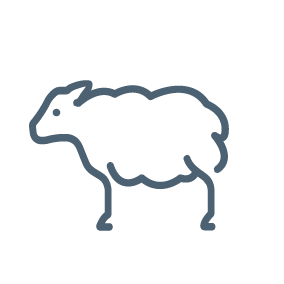 Icon kleine Wiederkäuer