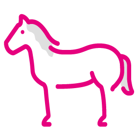 pinkes Icon Pferd