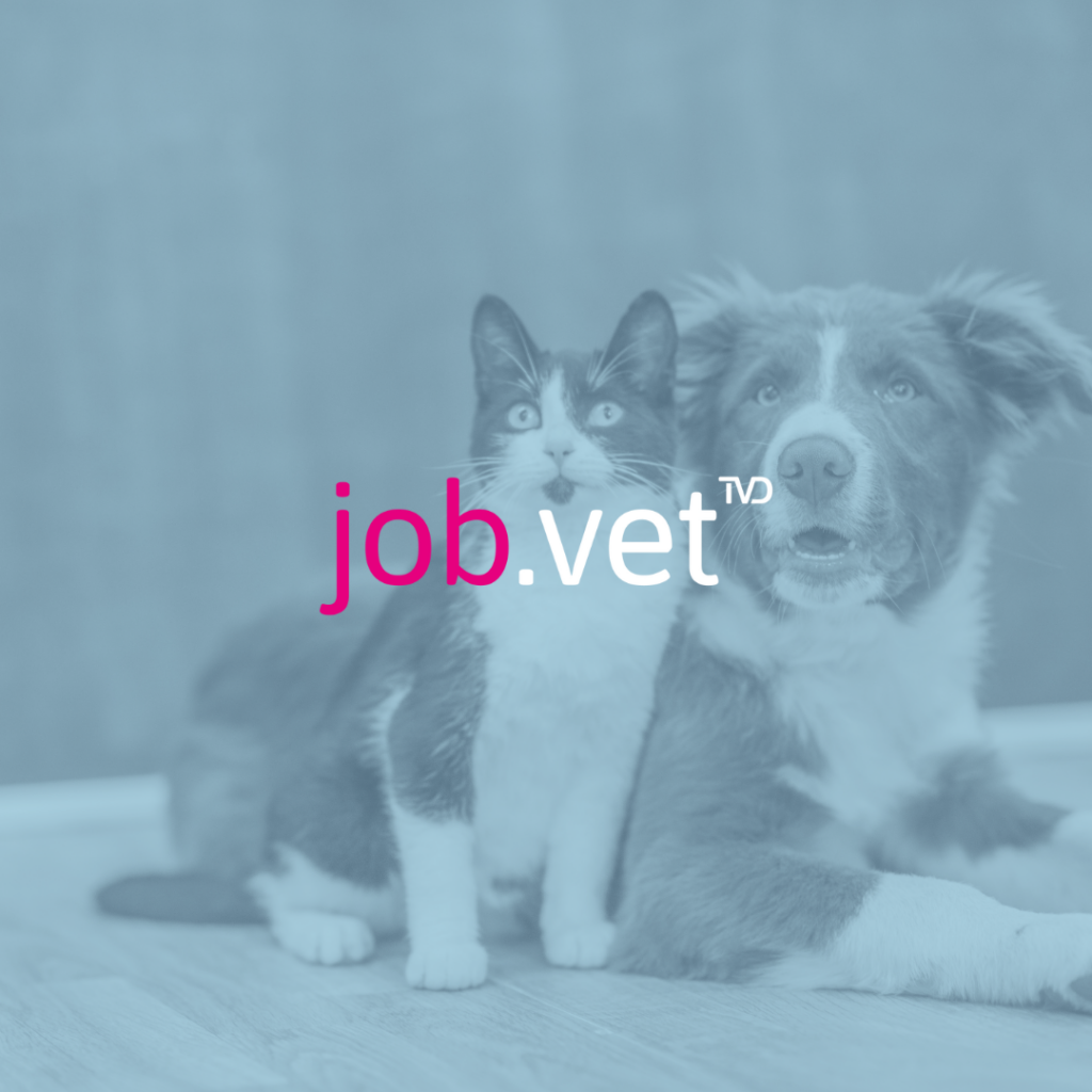 Hund und Katze mit Blaufilter, Logo von job.vet im Vordergrund