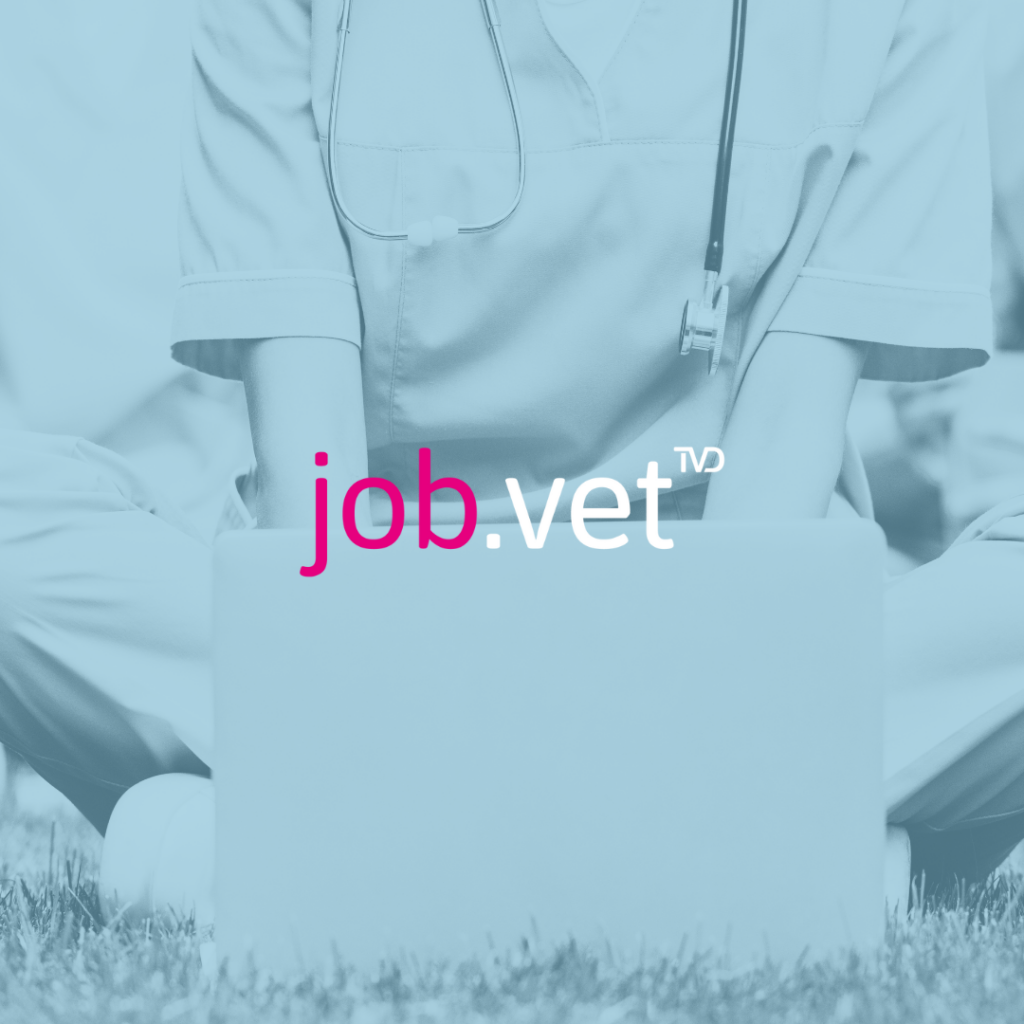 Tierärztin vor Laptop, Bewerbungsunterlagen