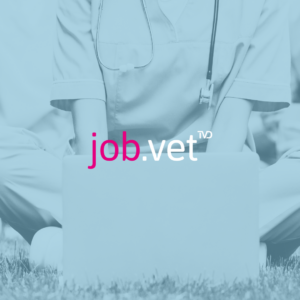 Tierärztin vor Laptop, Bewerbungsunterlagen