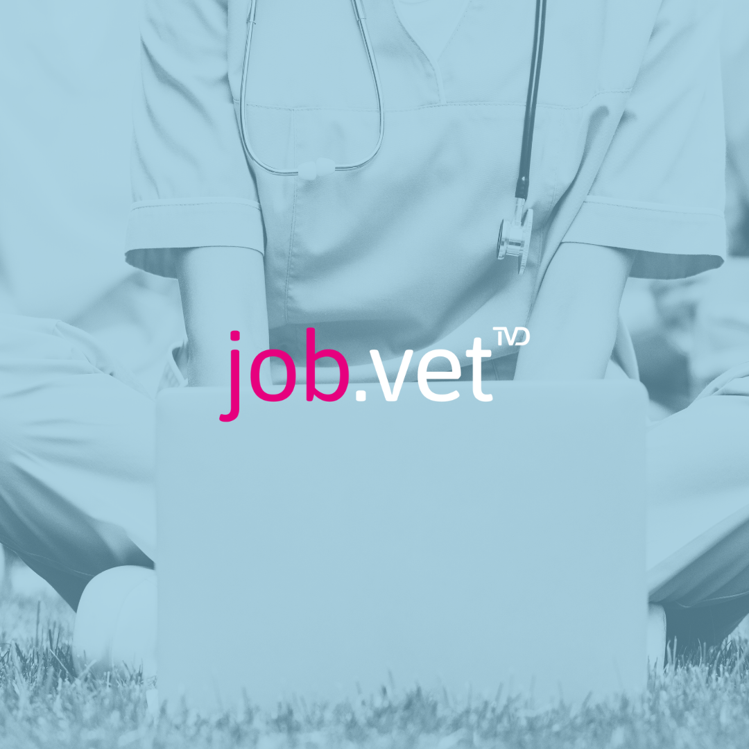 Tierärztin vor Laptop, Bewerbungsunterlagen