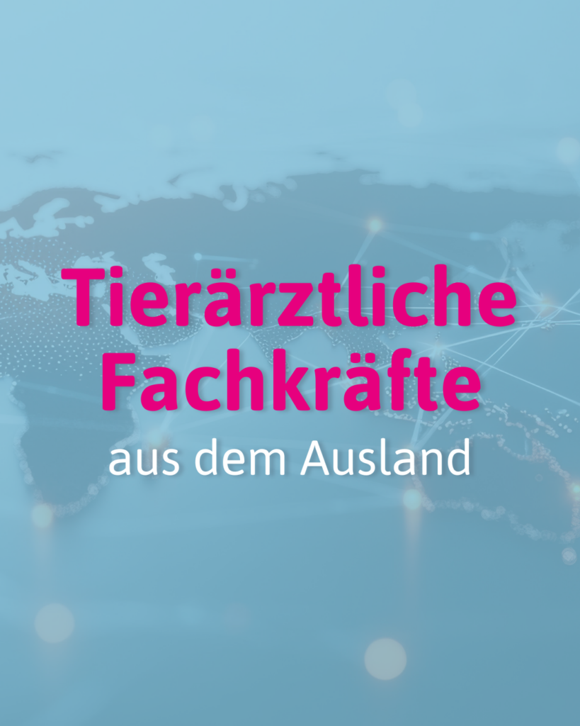 Tierärztliche Fachkräfte aus dem Ausland